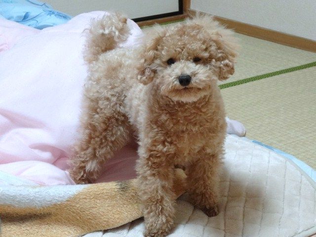 イメージ 1