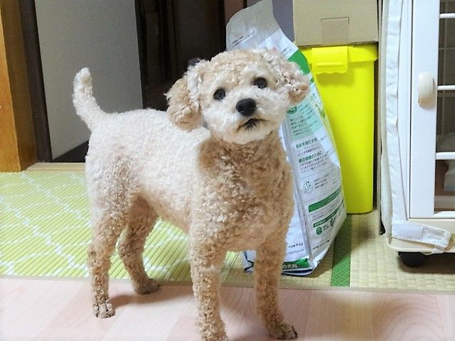 イメージ 3