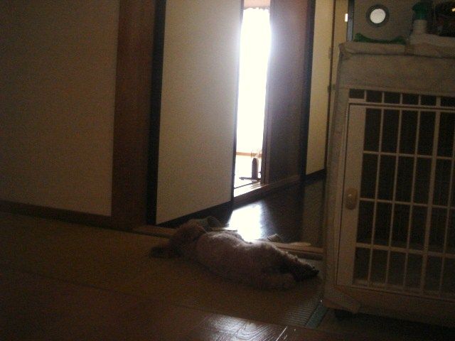 イメージ 1