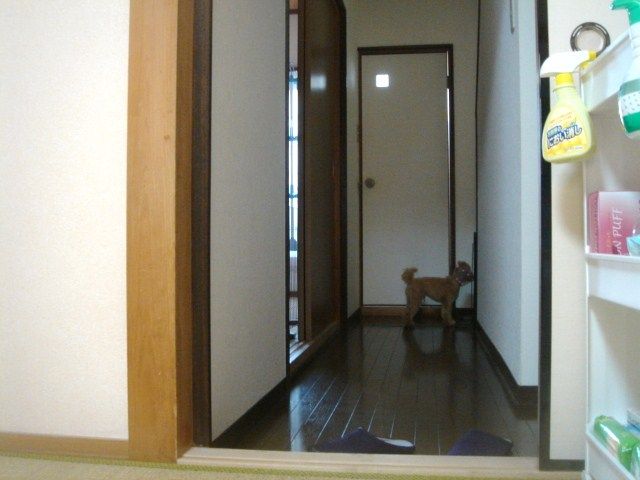 イメージ 3