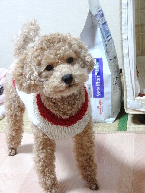 イメージ 4