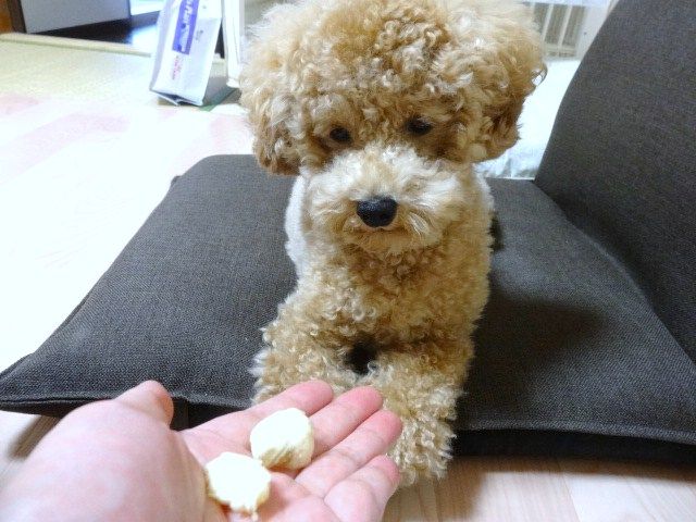 イメージ 13