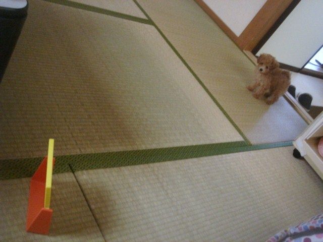 イメージ 1