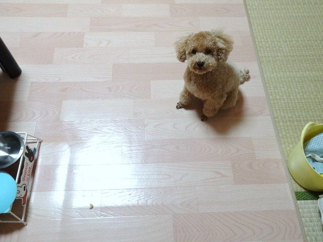 イメージ 9