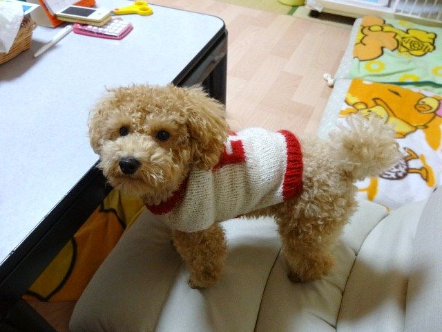 イメージ 6