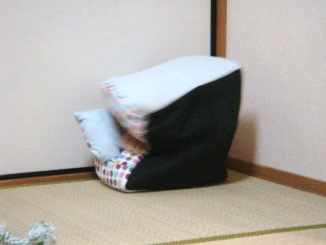 イメージ 6