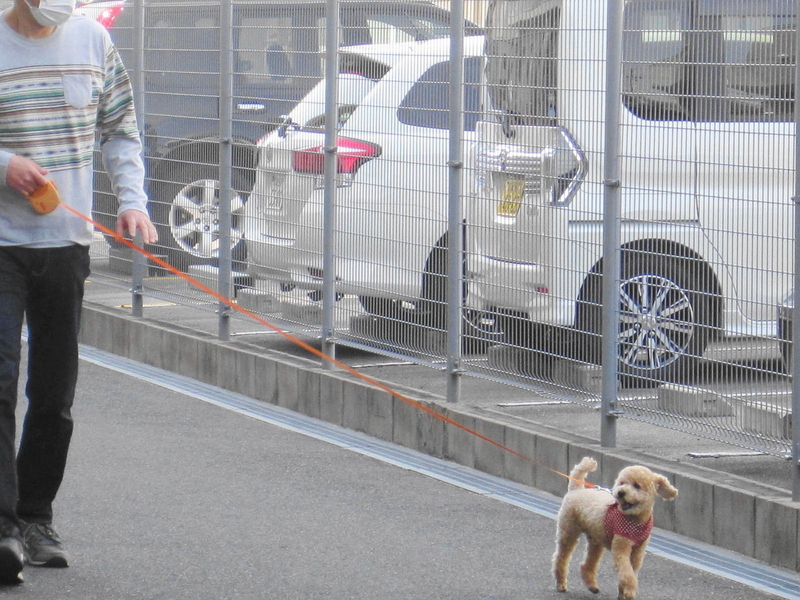 イメージ 5