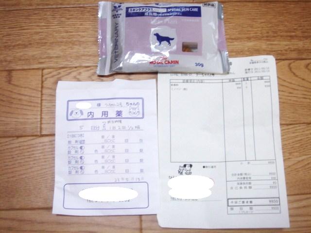イメージ 8