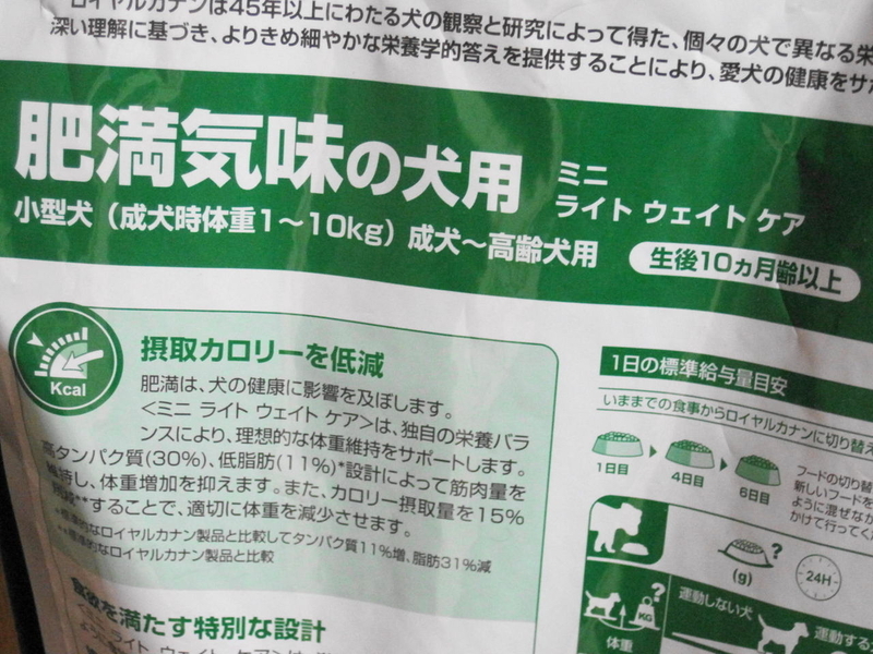イメージ 6
