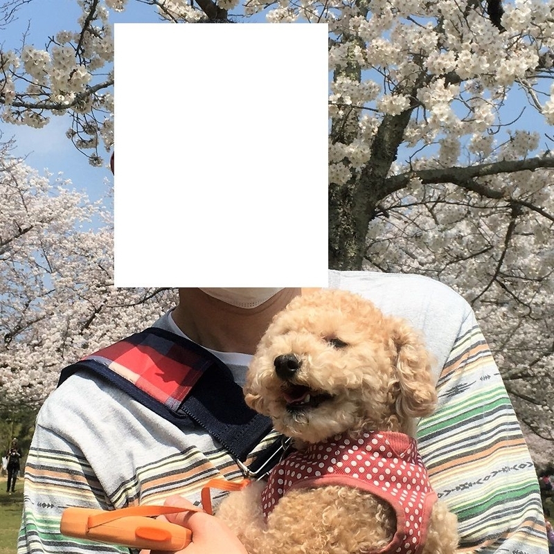イメージ 7