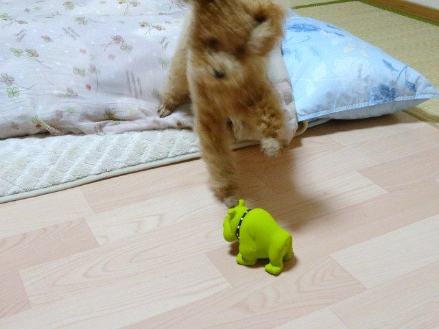 イメージ 2