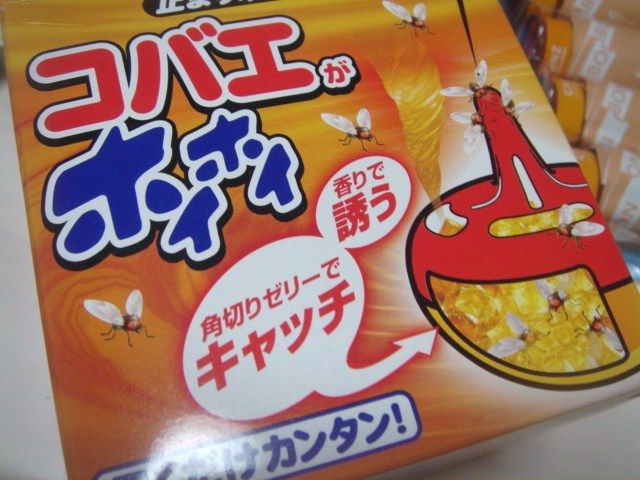イメージ 6
