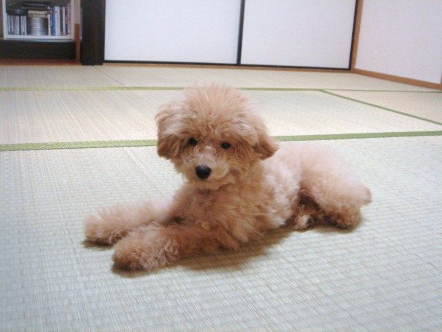 イメージ 3