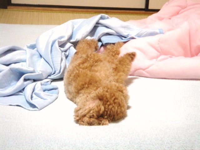 イメージ 3