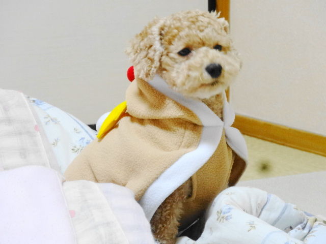 イメージ 3