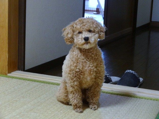イメージ 2