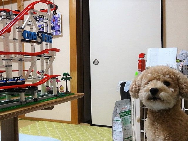 イメージ 8