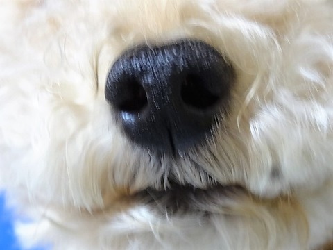 DSC04647