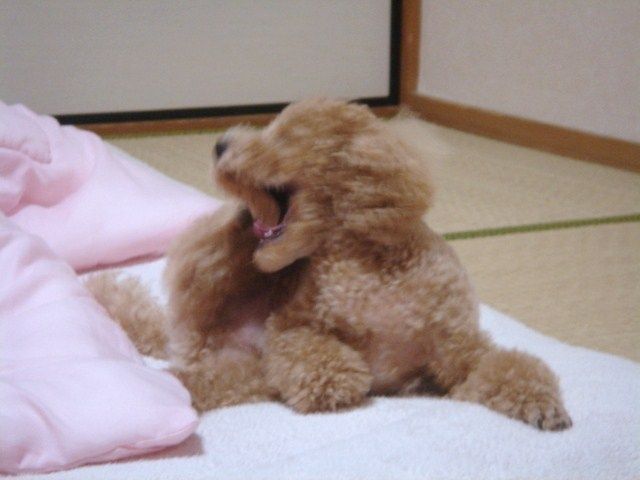 イメージ 3