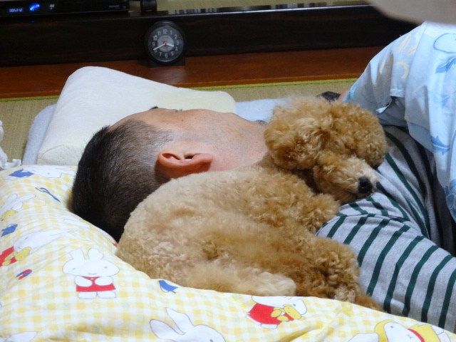 イメージ 5