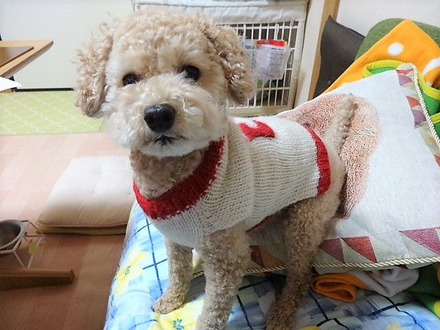 イメージ 1