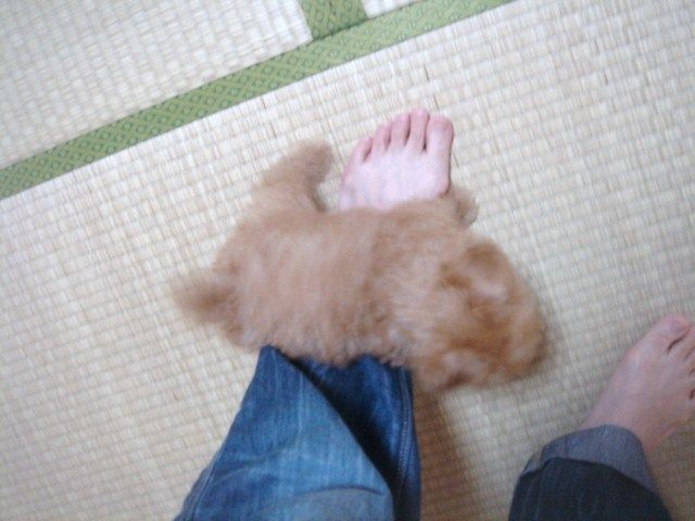 イメージ 6