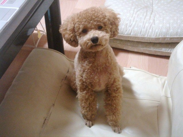 イメージ 1