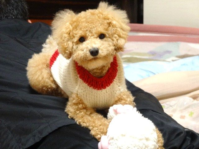 イメージ 1