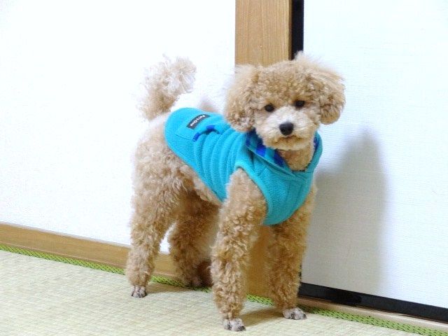 イメージ 1