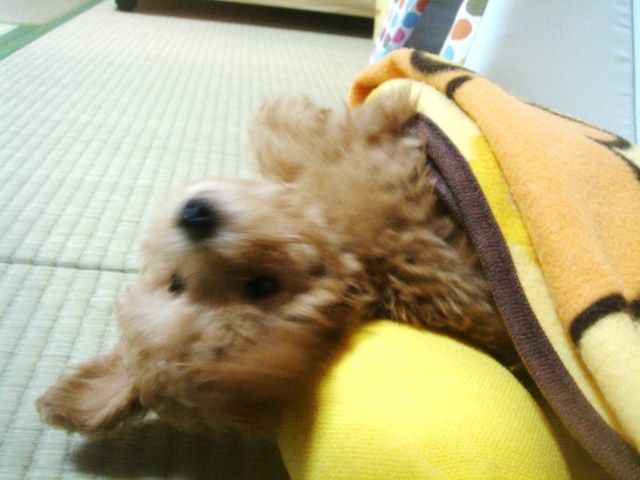 イメージ 2