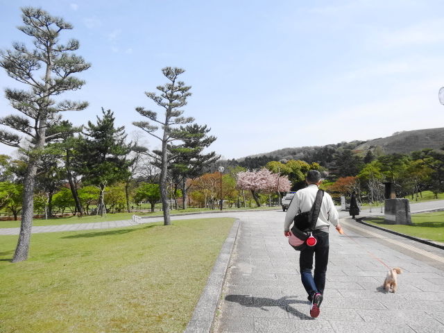 イメージ 10