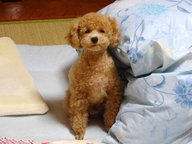 イメージ 3