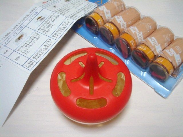 イメージ 5