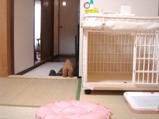 イメージ 8