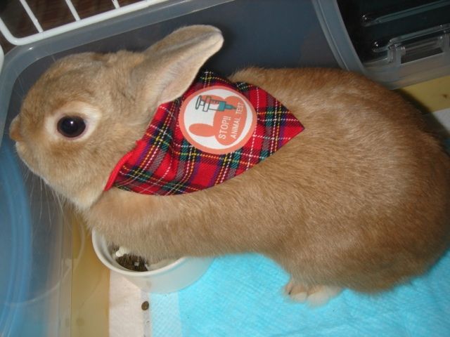 イメージ 4