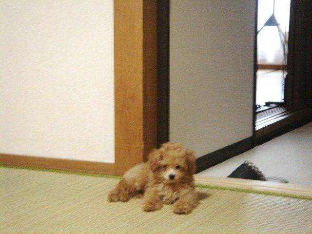 イメージ 8