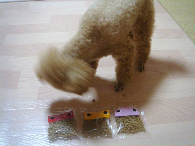 イメージ 11
