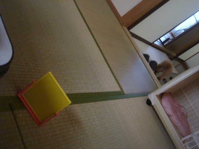イメージ 6