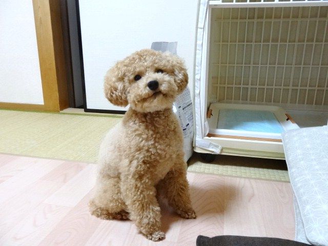 イメージ 9