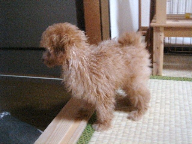イメージ 3