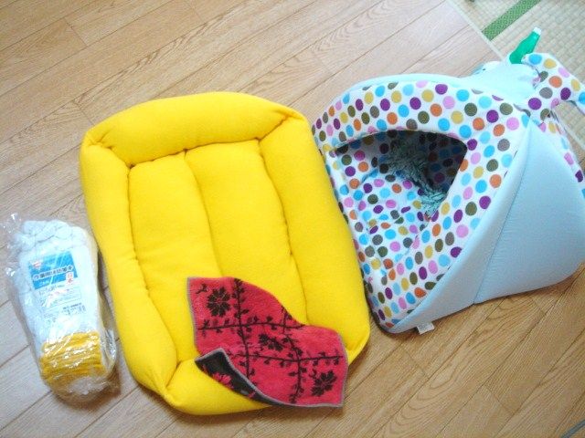 イメージ 1