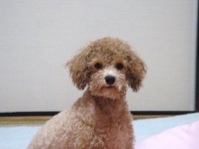 イメージ 5