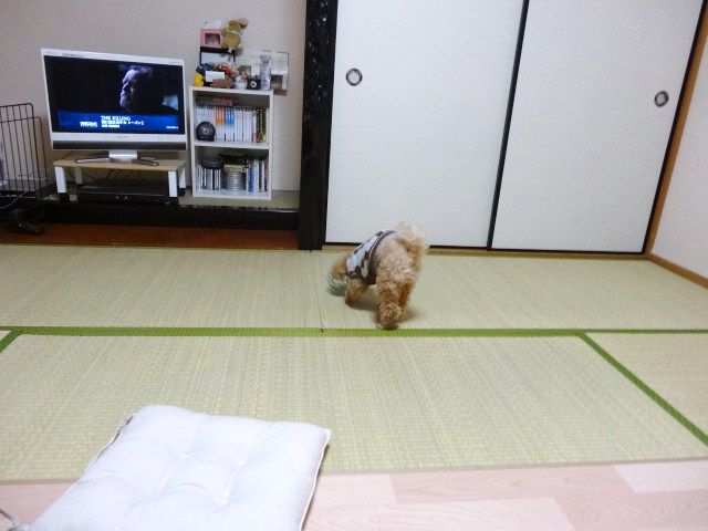 イメージ 2
