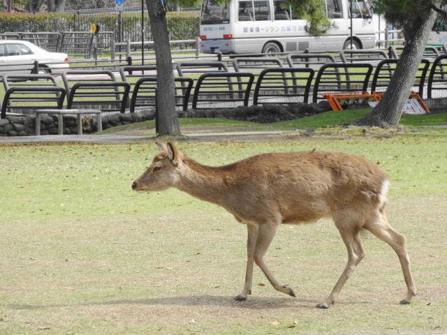 イメージ 8