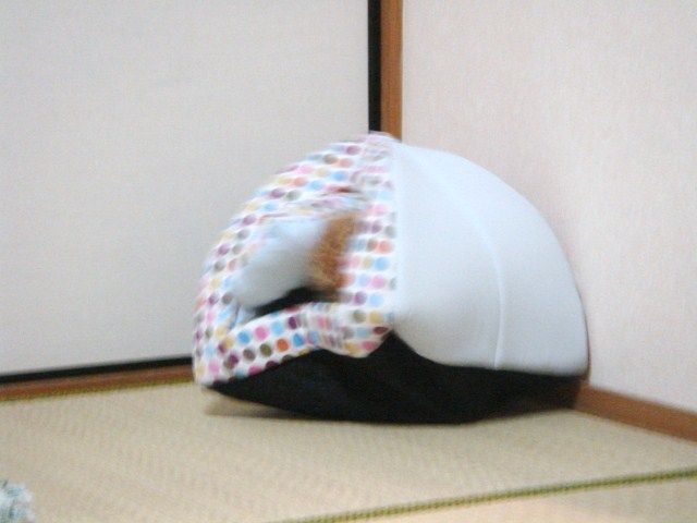 イメージ 5