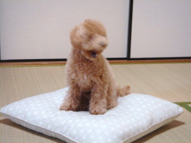 イメージ 2