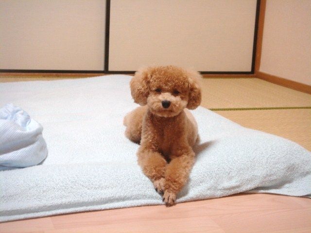 イメージ 6