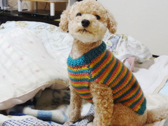イメージ 3