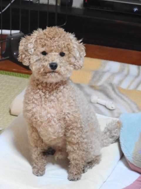イメージ 3
