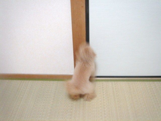 イメージ 8